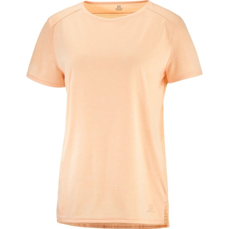 Salomon Outline Summer Short Sleeve Women's T-Shirts Apricot | CA 60W23